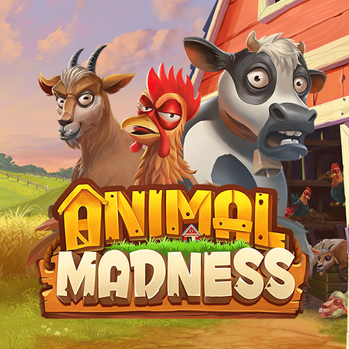 Animal Madness