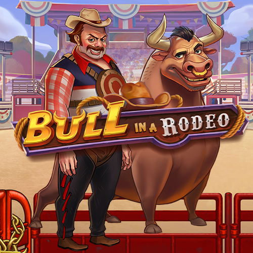 Bull in a Rodeo