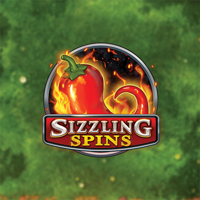 Sizzling Spins