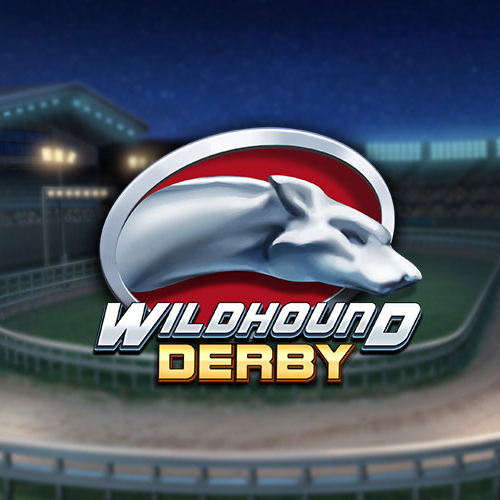 Wildhound Derby