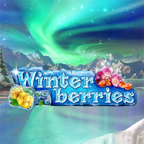 Winterberries