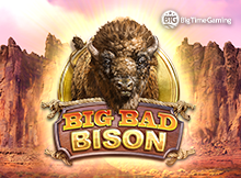 Big Bad Bison DNT