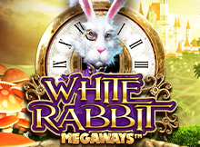 White Rabbit_V4 DNT