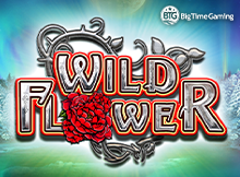 Wild Flower_V1 DNT