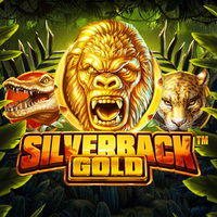 Silverback Gold DNT