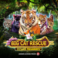 Big Cat Rescue Megaways DNT