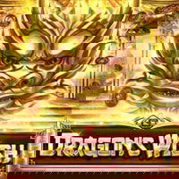 DragonWish