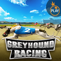 Greyhound Racing